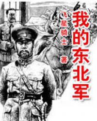 我的東北軍小说封面