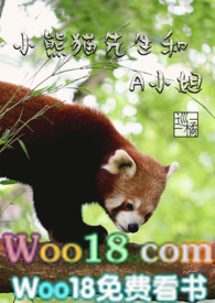 小熊猫先生和A小姐（1v1）小说封面