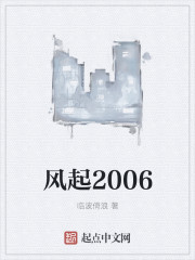 風起2006小说封面
