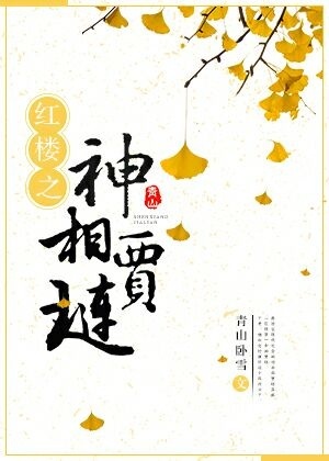 紅樓之神相賈璉小说封面